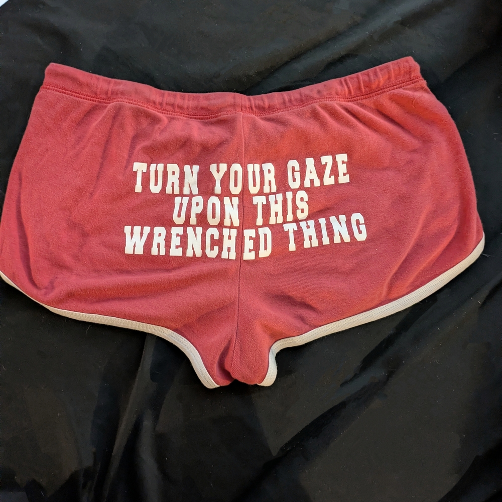 Ironic Shorts